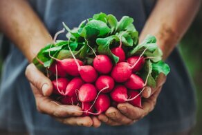 Огород на подоконнике:  7 вкусных и полезных растений для квартиры