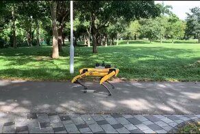 Робопёс контролирует людей в сингапурском парке