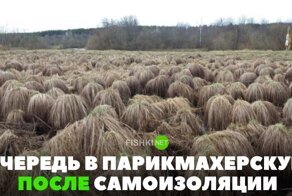 Картинки с надписями