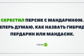 Картинки с надписями