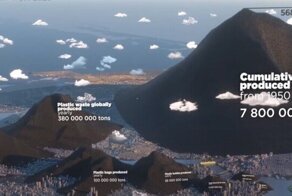 Сколько пластиковых отходов производит человечество