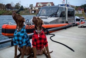 С добрым утром!