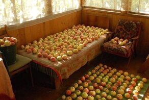 Картинки с незабываемыми запахами, насквозь пропитанные воспоминаниями