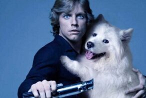 Два самоеда заменили актеров в культовых киносценах
