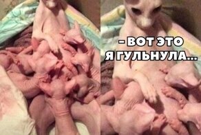 Картинки с надписями