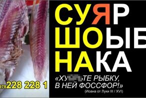 Продаю сушеную рыбу, попросил дизайнеров помочь с визиткой. Что получилось...
