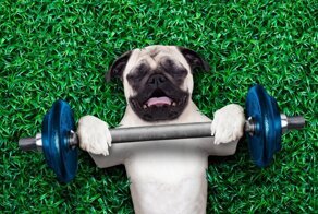 5 ловушек для начинающего спортсмена и физкультурника