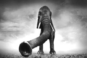 Магия черно-белых фотографий, которая завораживает