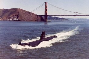 Операция спецслужб США «Вьюнок»