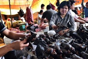В Ухане запрещены охота, разведение и продажа мяса диких животных