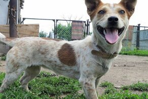 С добрым утром!