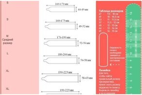 Про размеры и не только: 20 полезных подсказок с цифрами, которые помогут в жизни