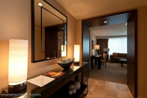 Номер в Вегасе за 150 долларов (15 фото)