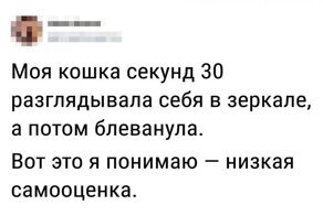 Когда у тебя заниженная самооценка, но с самоиронией все в полном порядке