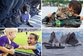 Это больше, чем просто фотография