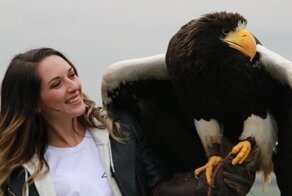 Белоплечий орлан и его размеры наглядно