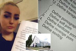 11-летних британцев решили научить разбираться в сортах порнографии