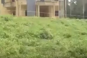 Отличная маскировка вьетнамского спецназа