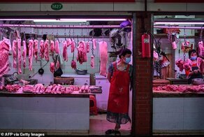 В Ухане на 5 лет запретили поедание мяса диких животных
