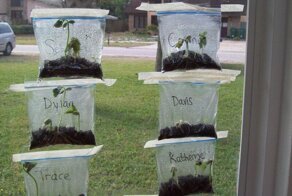 Идеи и хитрости для дачников, которые не могут выехать на огород