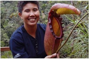 18 истинных размеров, о которых вы, быть может, не догадывались