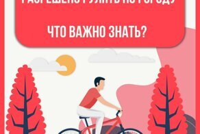 Особенности московских прогулок