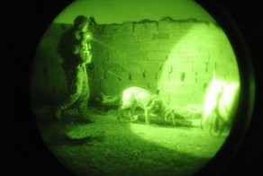 Собаки на службе в армии (28 фото)