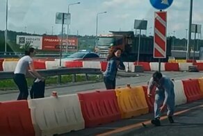 Петербуржцы в пробке спасли целое семейство утят