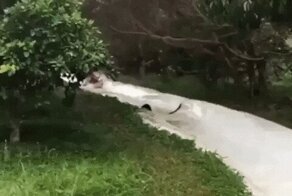 15 девушек, чьё веселье закончилось полным провалом