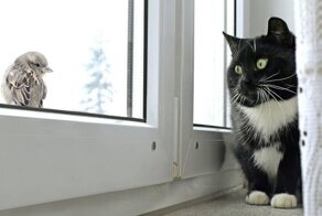 Фото приколы