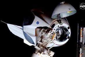 Стыковка Crew Dragon с МКС, удар головой и реакция соцсетей на приключения американцев в космосе