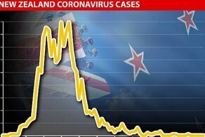 В госпиталях Новой Зеландии не осталось больных коронавирусом