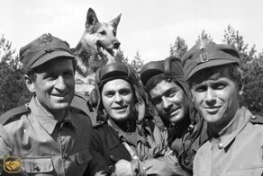 "Четыре танкиста и собака" Какова судьба сериала, героев, интересные факты