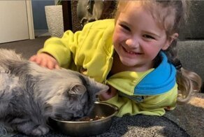 Кот, потерявшийся во время лесных пожаров в Австралии, вернулся домой спустя пять месяцев