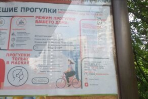 О прогулках по графику в Москве: разные картинки