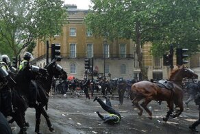 Столкновения в Лондоне: демонстранты против лошадей