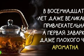 Пословицы и поговорки из страны Восходящего солнца