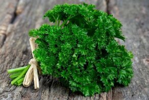 Правда ли, что кудрявую петрушку причислили к наркотическим растениям?