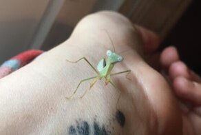 15 необычных фото, доказывающих, что мир не перестанет нас удивлять