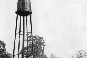 10 интересных фактов о кетчупе