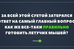 Смешные картинки