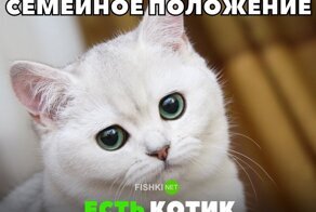 Смешные картинки