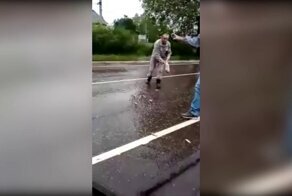 Рыбный дождь: в Тверской области на проезжей части дороги откуда-то взялась рыба