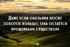 18 нидерландских пословиц на все случаи жизни