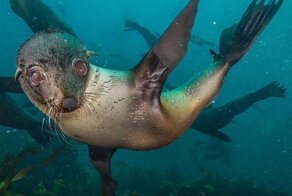 С добрым утром!