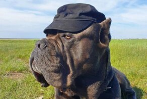 С добрым утром!