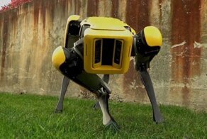 Boston Dynamics начала продажу робособаки Spot