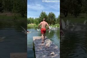 Агрессивные птицы прервали водные процедуры молодой особы