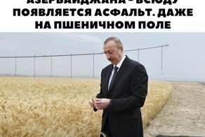 Смешные картинки и не очень