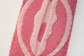 Чехольчик для Айфона (3 фото)